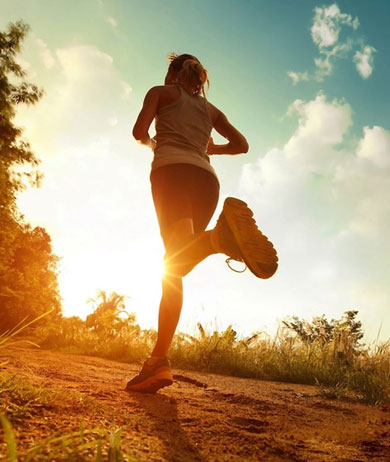 永利皇宫(中国)官方网站